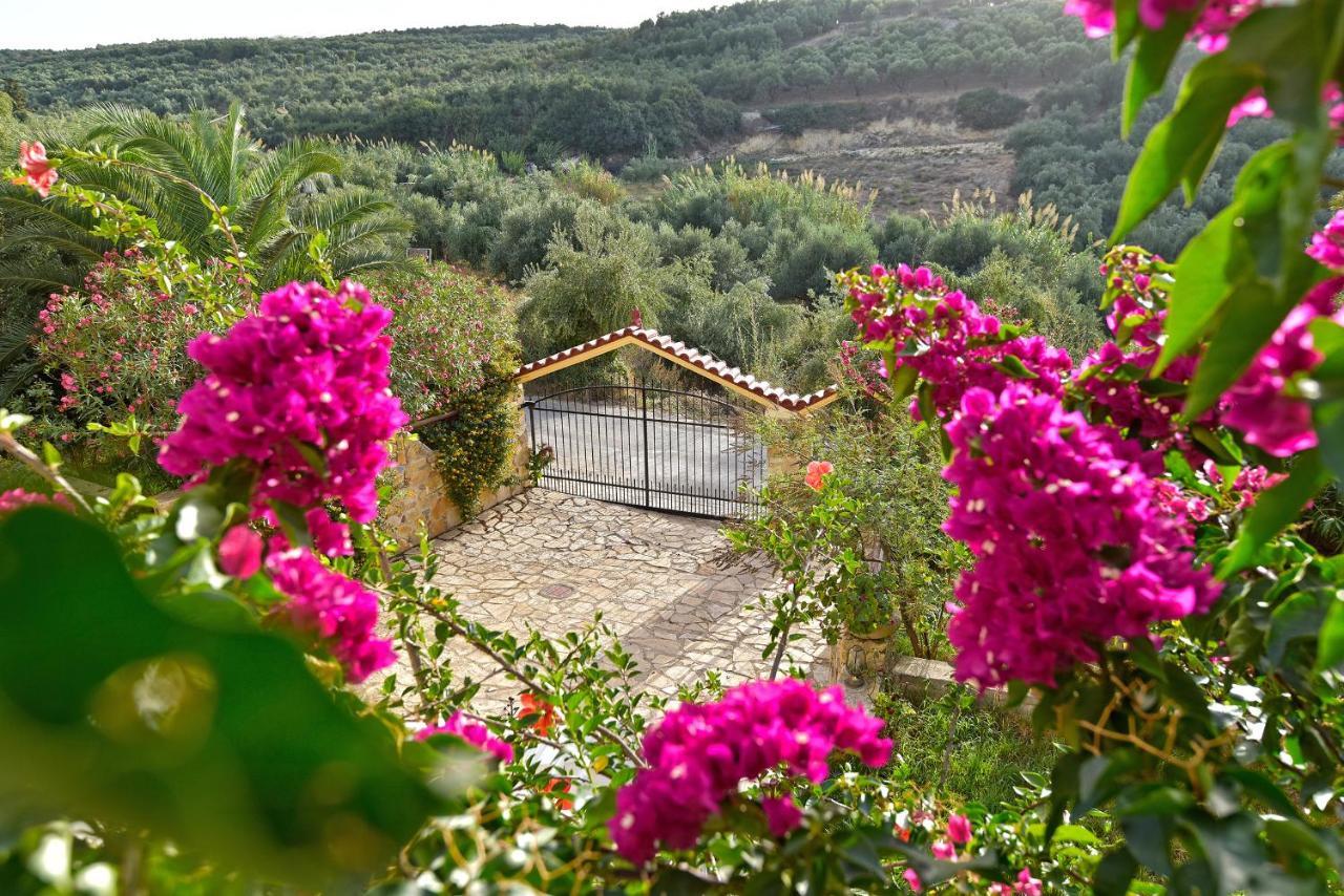 Agia Marina Olive Farm 빌라 외부 사진