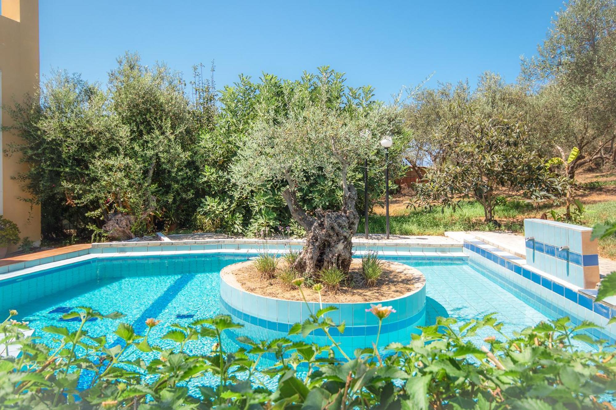 Agia Marina Olive Farm 빌라 외부 사진