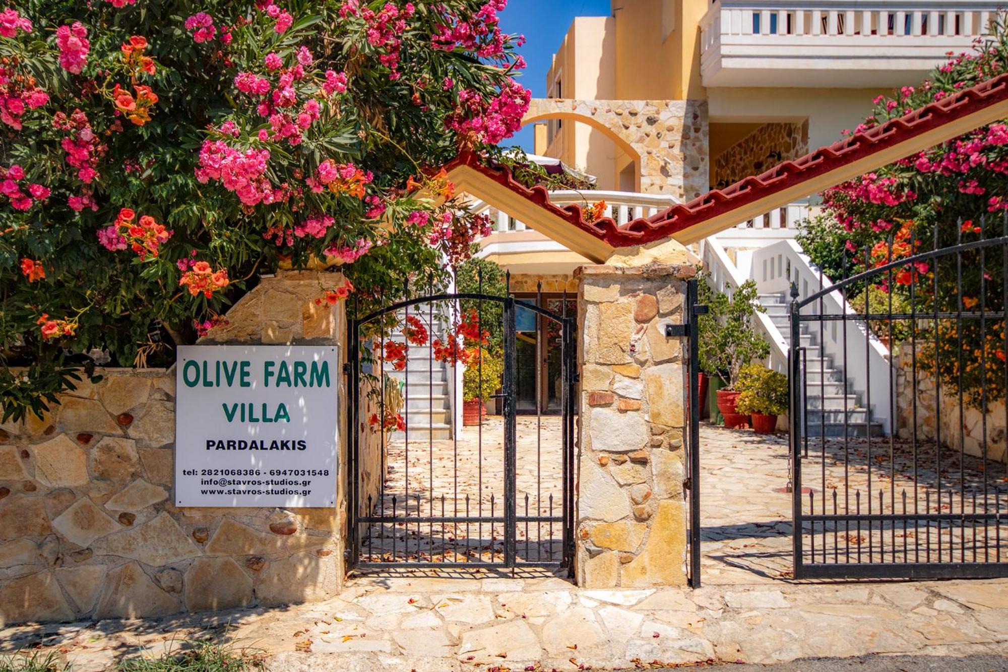 Agia Marina Olive Farm 빌라 외부 사진